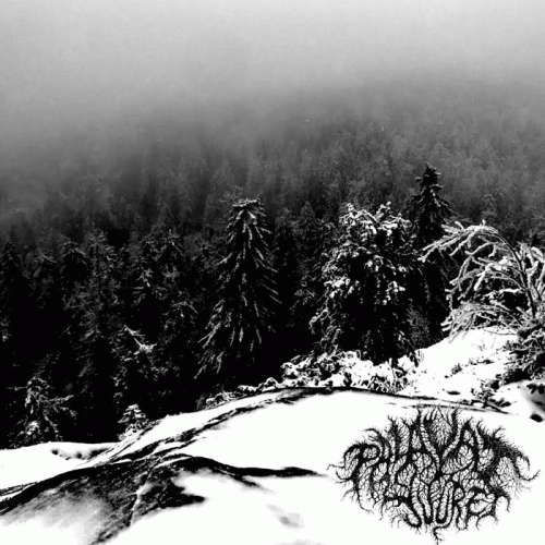 Palavat Juuret : Elo